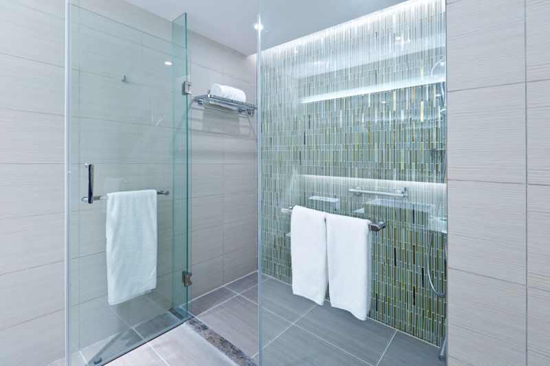 Sleek Shower Door Design